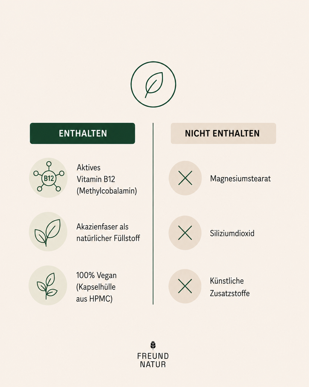Vitamin B Komplex (mit Akazienfaser)