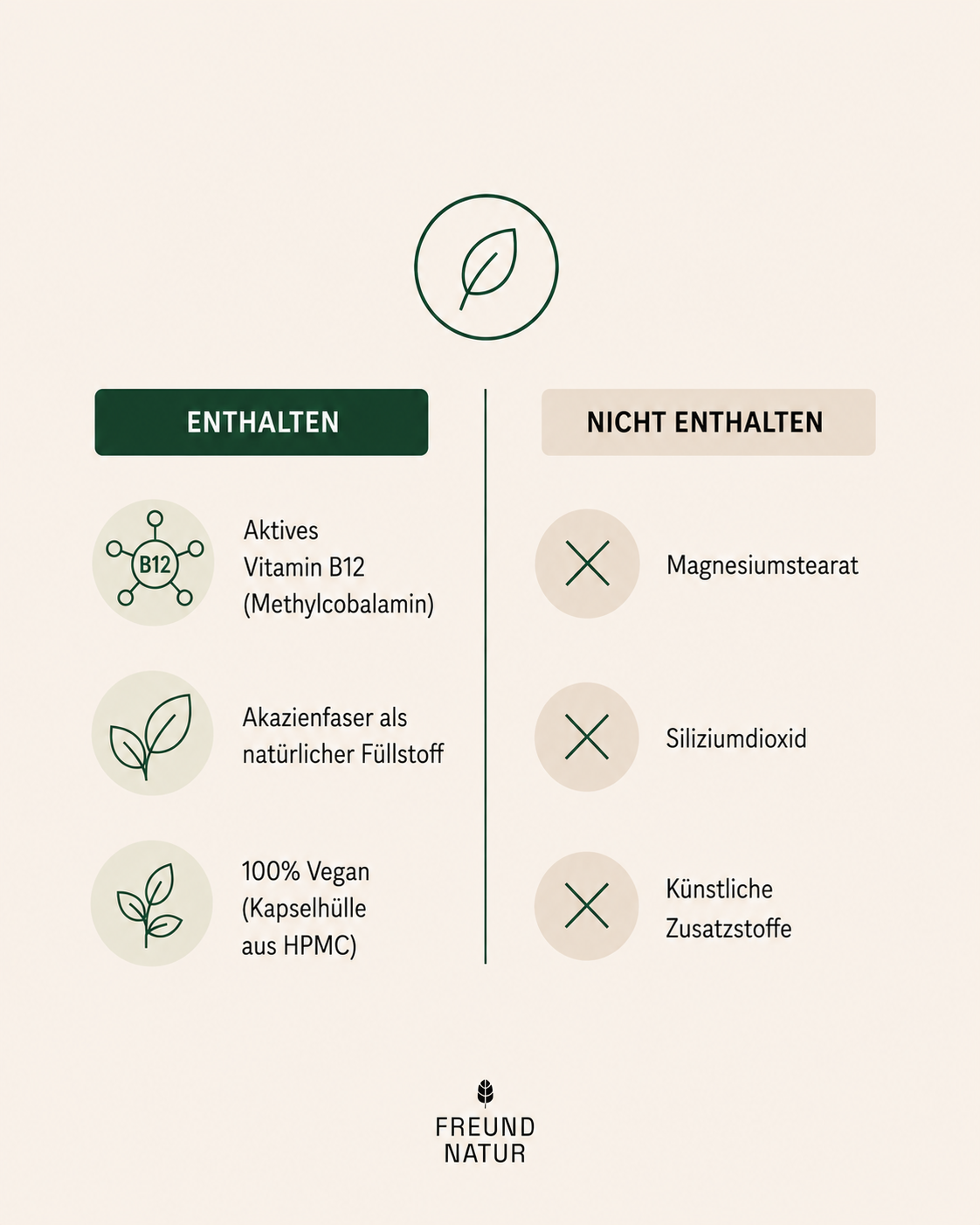 Vitamin B Komplex (mit Akazienfaser)