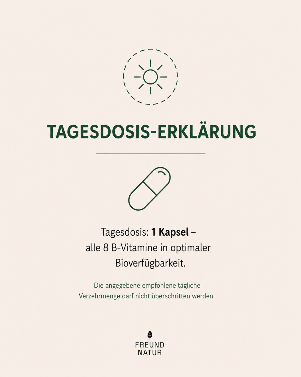 Vitamin B Komplex (mit Akazienfaser)